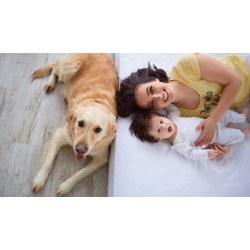 Campo Largo no mapeamento nacional para fortalecer o Turismo Pet Friendly